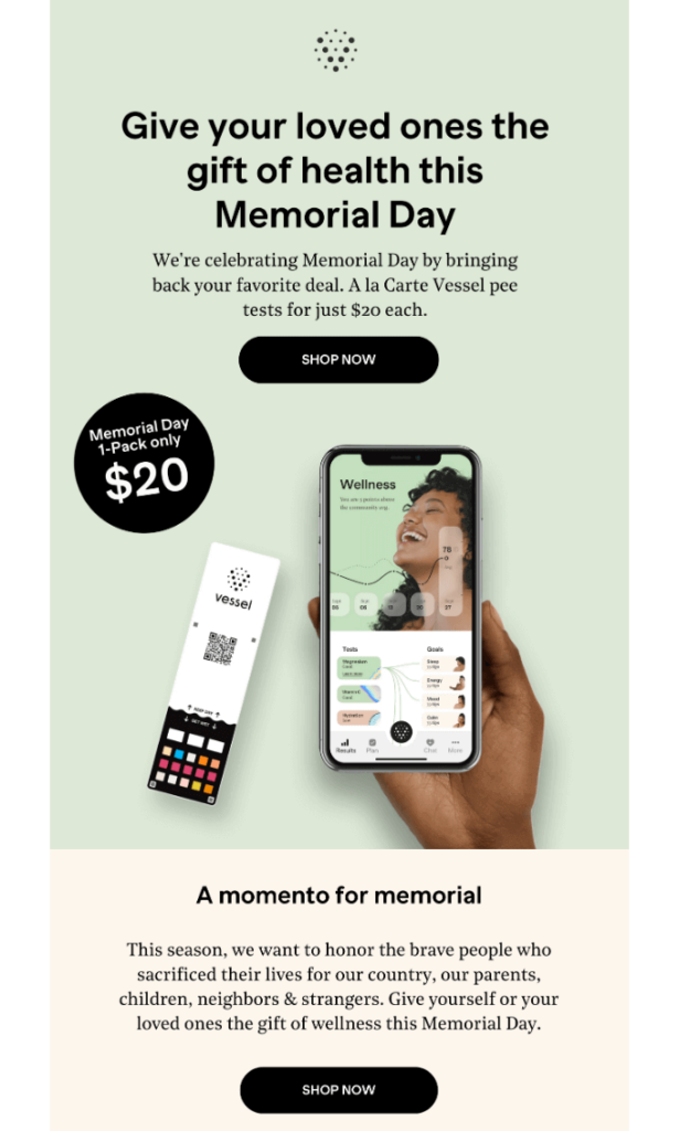 Memorial Day email by Vessel