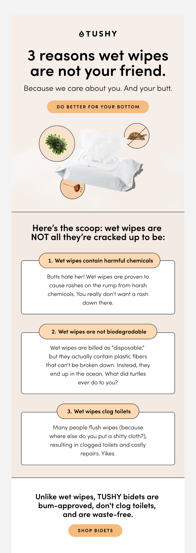 Humorous email by TUSHY about the impact of wet wipes on health and environment