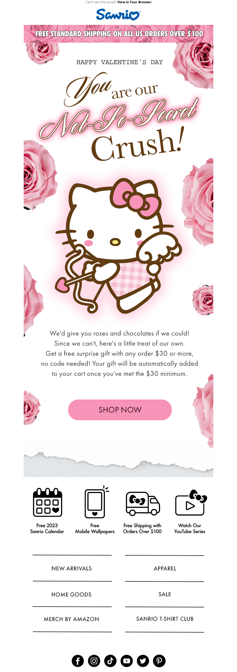 Valentine's Day email by Sanrio that features the company's mascot character Hello Kitty.