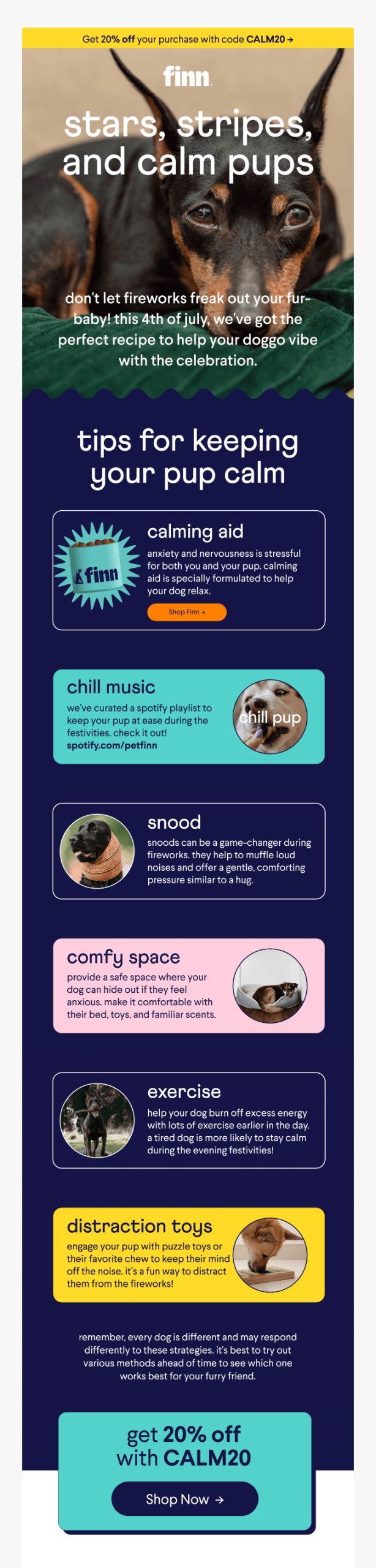 4th of July email by Finn that includes advice on how to keep a dog calm during fireworks